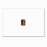 2528402e18cf3f96 Postcards 5  x 7  (Pkg of 10)
