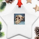 a8cfa0190f09efe8 Star Ornament (Two Sides)