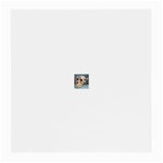 a8cfa0190f09efe8 Glasses Cloth (Medium)