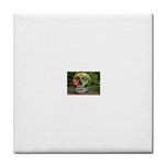4ef034eccff1b6ac Tile Coaster