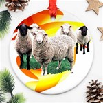 Flock Ornament (Round)
