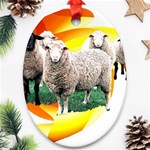 Flock Ornament (Oval)