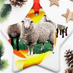 Flock Ornament (Star)