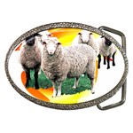 Flock Belt Buckle