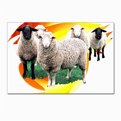 Flock Postcards 5  x 7  (Pkg of 10) from ArtsNow.com Front