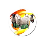 Flock Magnet 3  (Round)