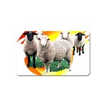 Flock Magnet (Name Card)