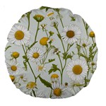 Sunflowers Large 18  Premium Round Cushions