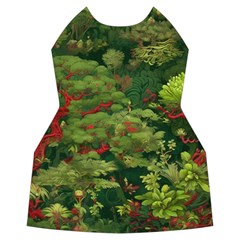 Redwood & Moss Women s Long Sleeve Raglan T Front