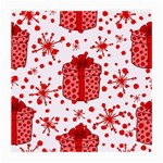 Cute Gift Boxes Medium Glasses Cloth (2 Sides)