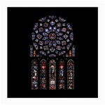 Rosette Cathedral Medium Glasses Cloth