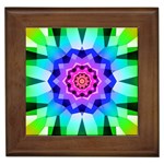 Ornament Kaleidoscope Framed Tile