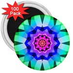 Ornament Kaleidoscope 3  Magnets (100 pack)