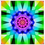 Ornament Kaleidoscope Canvas 20  x 20 