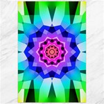 Ornament Kaleidoscope Canvas 24  x 36 