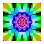 Ornament Kaleidoscope Medium Glasses Cloth (2 Sides)