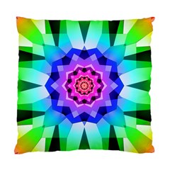Ornament Kaleidoscope Standard Cushion Case (Two Sides) from ArtsNow.com Front