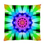 Ornament Kaleidoscope Standard Cushion Case (Two Sides)