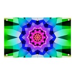 Ornament Kaleidoscope Banner and Sign 5  x 3 