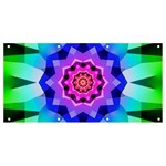 Ornament Kaleidoscope Banner and Sign 8  x 4 