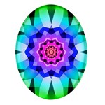 Ornament Kaleidoscope Oval Glass Fridge Magnet (4 pack)