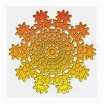 Mandala Background Image Ornament Medium Glasses Cloth