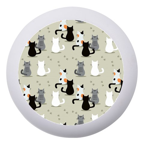 Cute Cat Seamless Pattern Dento Box with Mirror from ArtsNow.com Front