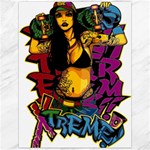Xtreme Skateboard Graffiti Canvas 12  x 16 