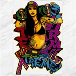Xtreme Skateboard Graffiti Canvas 24  x 36 