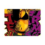 Xtreme Skateboard Graffiti Premium Plush Fleece Blanket (Mini)