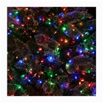 Christmas Lights Medium Glasses Cloth
