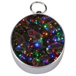 Christmas Lights Silver Compasses