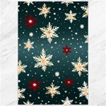 Snowflakes Winter Snow Canvas 20  x 30 