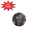 Han Solo In Carbonite 1  Mini Magnet (10 pack) 