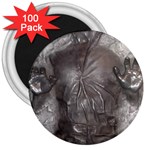 Han Solo In Carbonite 3  Magnets (100 pack)