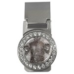Han Solo In Carbonite Money Clips (CZ) 