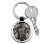 Han Solo In Carbonite Key Chain (Round)