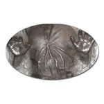 Han Solo In Carbonite Oval Magnet