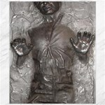 Han Solo In Carbonite Canvas 20  x 24 