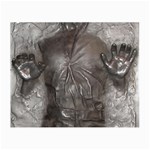 Han Solo In Carbonite Small Glasses Cloth (2 Sides)
