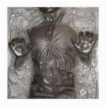 Han Solo In Carbonite Medium Glasses Cloth