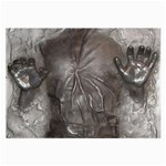 Han Solo In Carbonite Large Glasses Cloth
