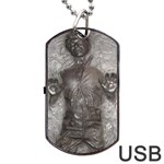 Han Solo In Carbonite Dog Tag USB Flash (One Side)