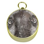 Han Solo In Carbonite Gold Compasses