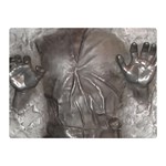 Han Solo In Carbonite Two Sides Premium Plush Fleece Blanket (Mini)