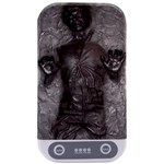 Han Solo In Carbonite Sterilizers