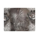 Han Solo In Carbonite Premium Plush Fleece Blanket (Mini)