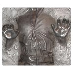 Han Solo In Carbonite Premium Plush Fleece Blanket (Small)