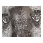 Han Solo In Carbonite Premium Plush Fleece Blanket (Large)