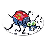 Bug Black Insect Animal Oval Magnet